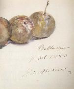 Edouard Manet Lettre avec trois prunes (mk40) Sweden oil painting artist